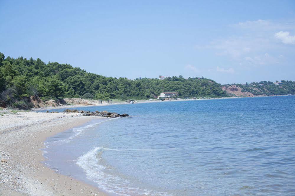 Paressa Villas Néa Fókaia Bagian luar foto