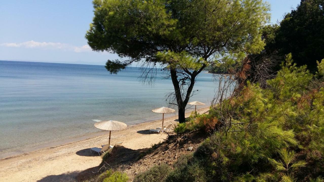 Paressa Villas Néa Fókaia Bagian luar foto